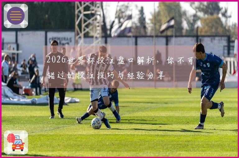 2026世界杯投注盘口解析，你不可错过的投注技巧与经验分享