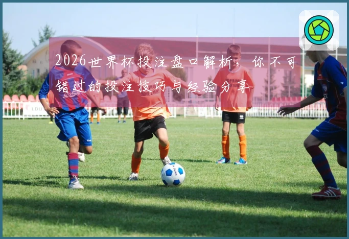2026世界杯投注盘口解析,你不可错过的投注技巧与经验分享
