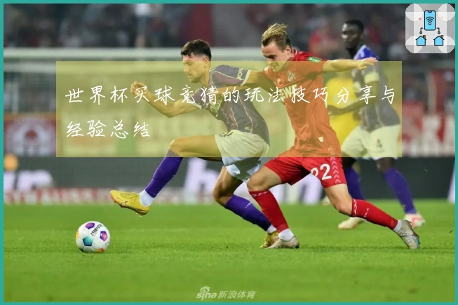 世界杯买球竞猜的玩法技巧分享与经验总结