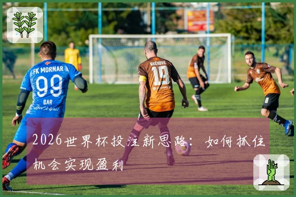 2026世界杯投注新思路：如何抓住机会实现盈利