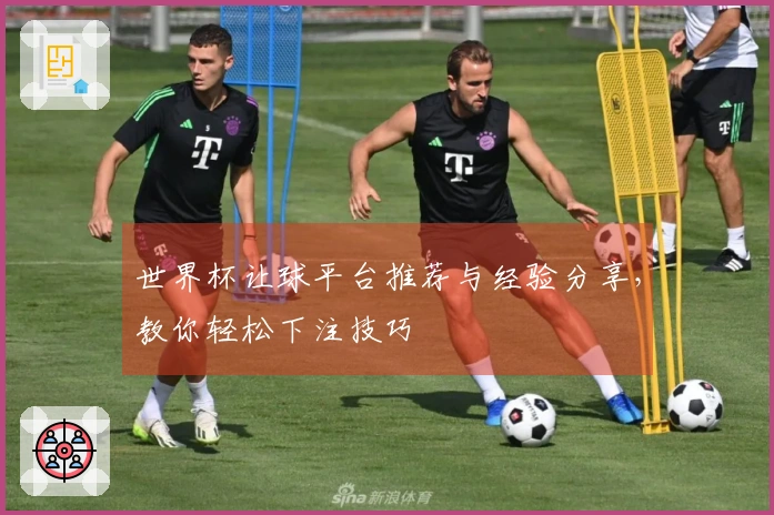 世界杯让球平台推荐与经验分享，教你轻松下注技巧