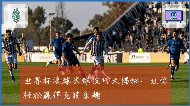 世界杯滚球买球技巧大揭秘，让你轻松赢得竞猜乐趣