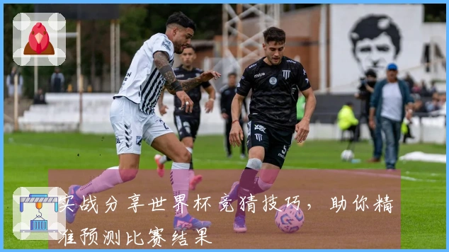 实战分享世界杯竞猜技巧，助你精准预测比赛结果