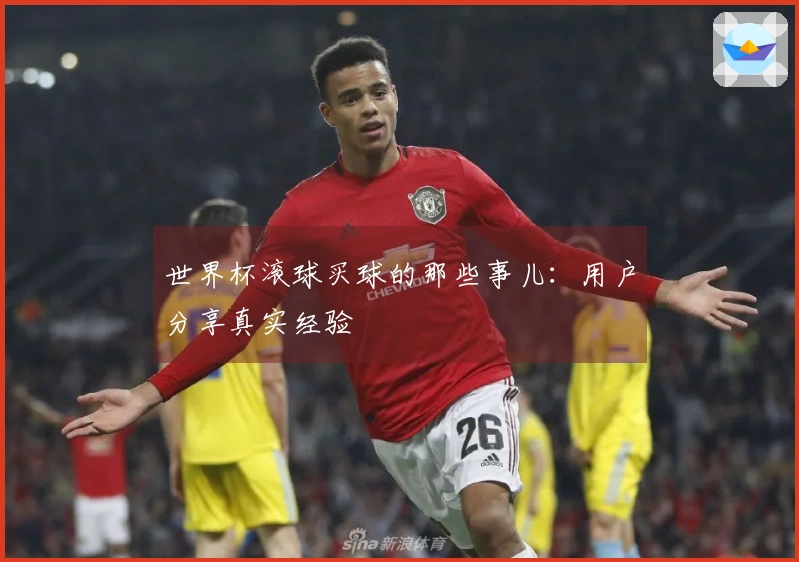世界杯滚球买球的那些事儿：用户分享真实经验