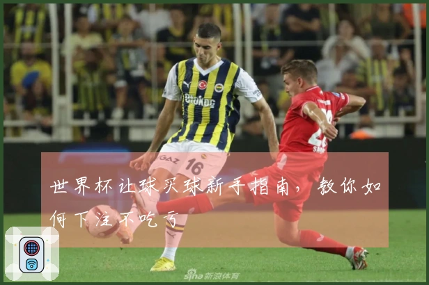 世界杯让球买球新手指南，教你如何下注不吃亏