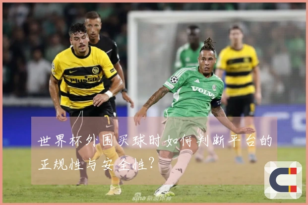 世界杯外围买球时如何判断平台的正规性与安全性？