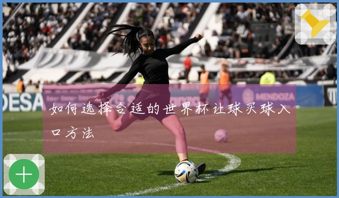 如何选择合适的世界杯让球买球入口方法