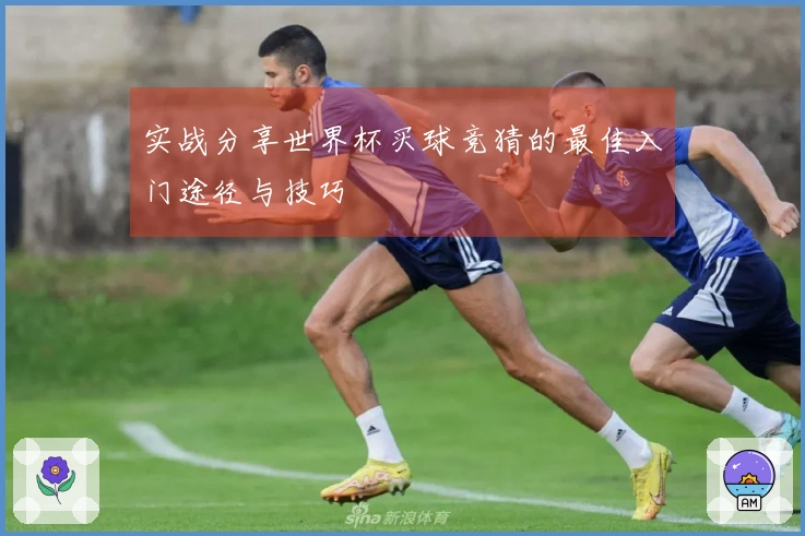 实战分享世界杯买球竞猜的最佳入门途径与技巧