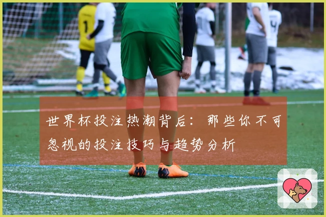 世界杯投注热潮背后：那些你不可忽视的投注技巧与趋势分析