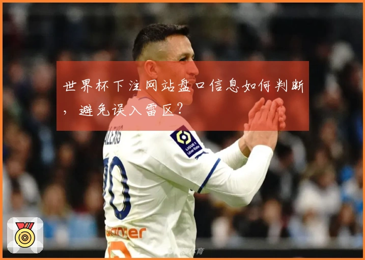 世界杯下注网站盘口信息如何判断，避免误入雷区？