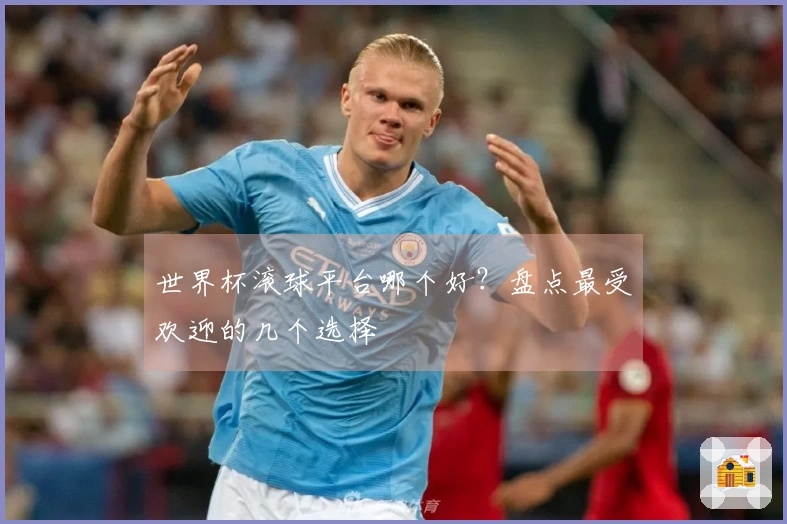 世界杯滚球平台哪个好？盘点最受欢迎的几个选择