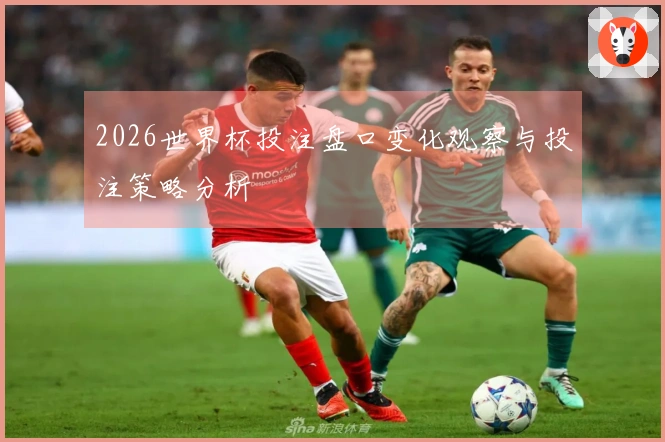 2026世界杯投注盘口变化观察与投注策略分析