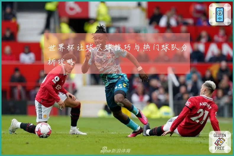 世界杯让球买球技巧与热门球队分析攻略